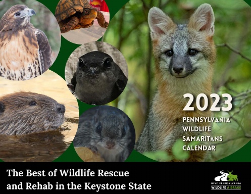 2023 Pennsylvania Wildlife Samaritans Calendar
