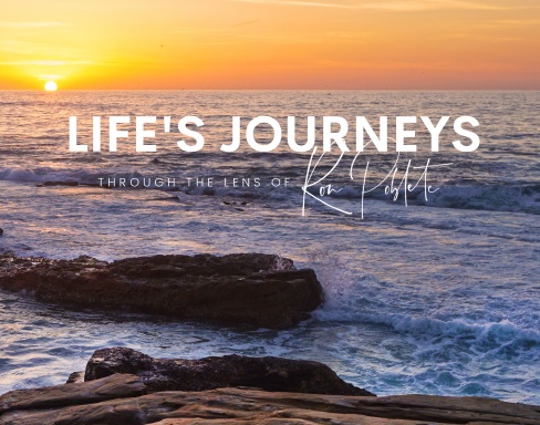 Life's Journeys