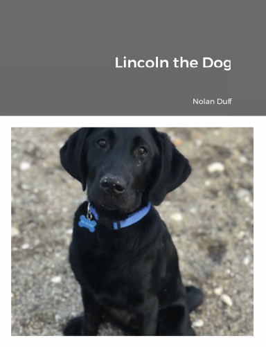 Lincoln the Dog