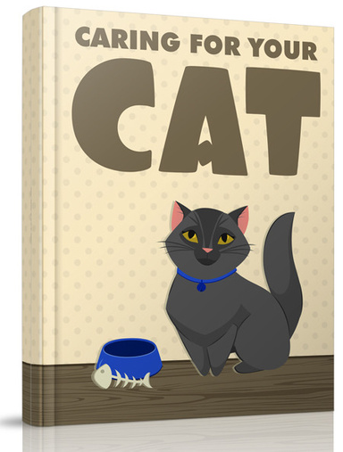 Train your cat