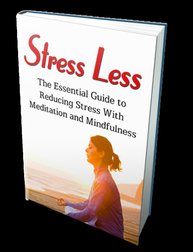 Stress Less ebook