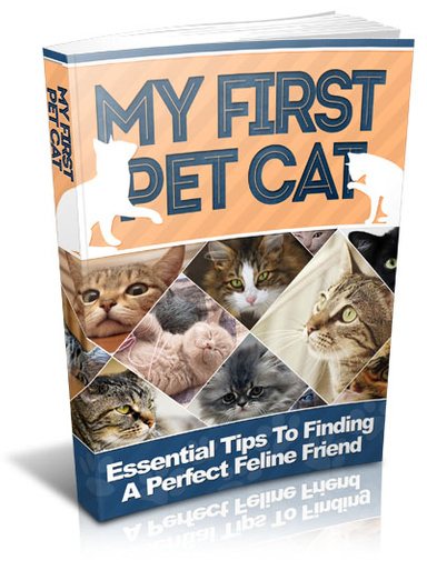 Cat e-book