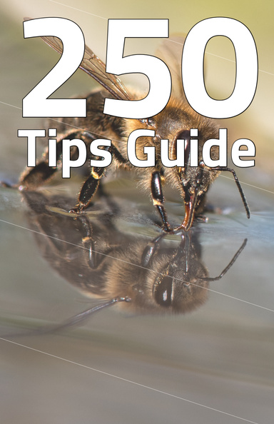Beekeeping Business Guide : 250 Tips For Beginners