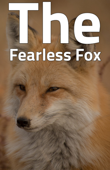 Detective Felix : The Fearless Fox