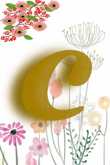C