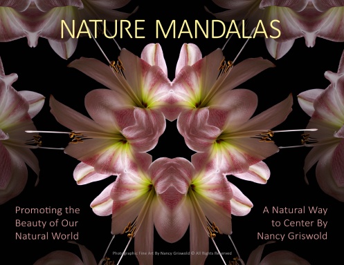 Nature Mandala 2023 Calendar By Nancy Griswold