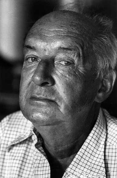 Vladimir Nabokov book