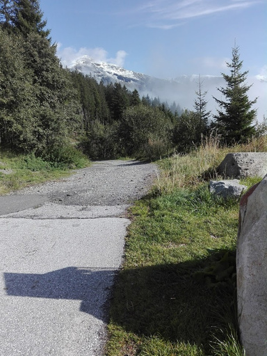 قصتي حينما سقطت ثما نهضت