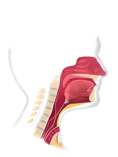 PORADNIK LARYNGEKTOMOWANEGO - THE LARYNGECTOMEE GUIDE POLISH EDITION