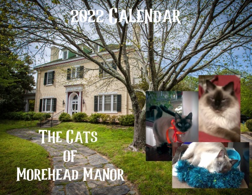 The Cats of Morehead Manor