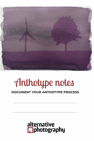 Anthotype notes