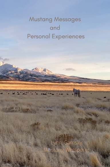 Mustang Messages and Personal Experiences
