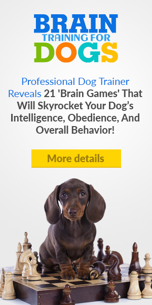 Develops your Dog's "Hidden Intelligence" To eliminate bad behavior