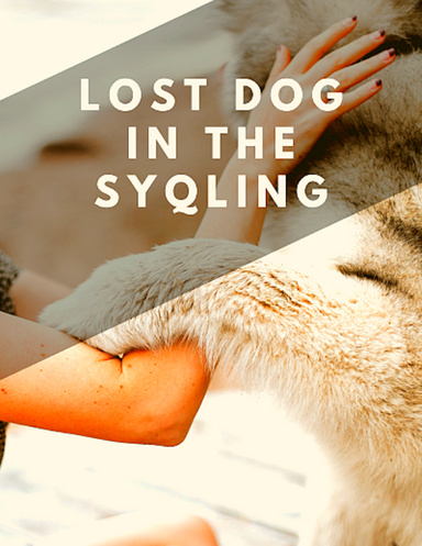 Dog Syqling updated