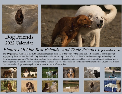 Dog Friends 2022 Calendar