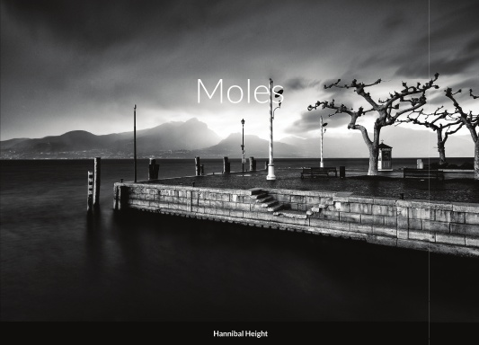 Moles