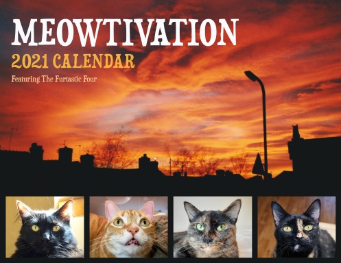 Cole and Marmalade - 2021 Calendar (USA Edition)