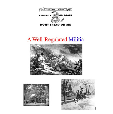 A Well Regulated Militia