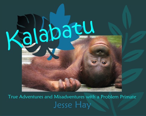 Kalabatu: True Adventures and Misadventures with a Problem Primate