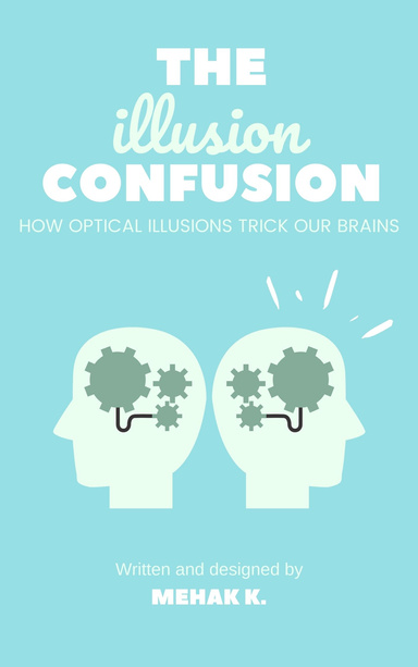 The Illusion Confusion