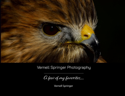 Vernell Springer Photography