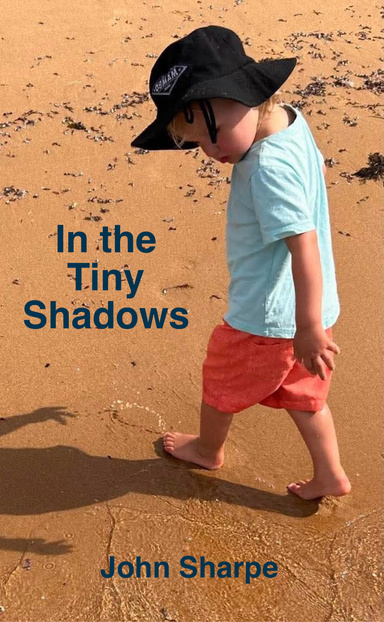 In the Tiny Shadows