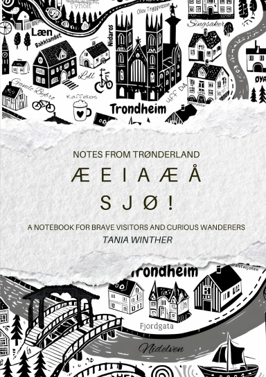Notes from Trønderland: Æ E I A Æ Å SJØ!