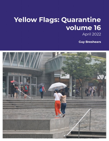 Yellow Flags: Quarantine volume 16
