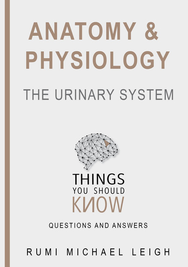 Anatomy and Physiology: The Urinary System