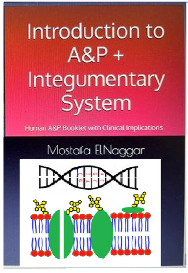 Introduction to A & P + Integumentary System