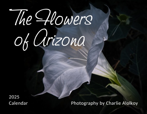 The Flowers of Arizona