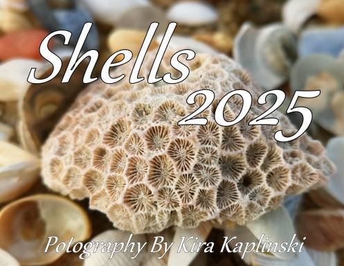 SeaShells Calendar 2025