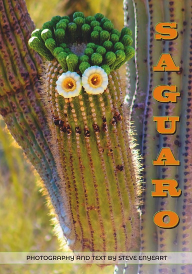 SAGUARO