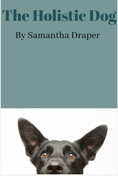 The Holistic Dog