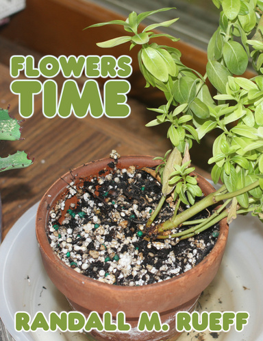 Flowers Time