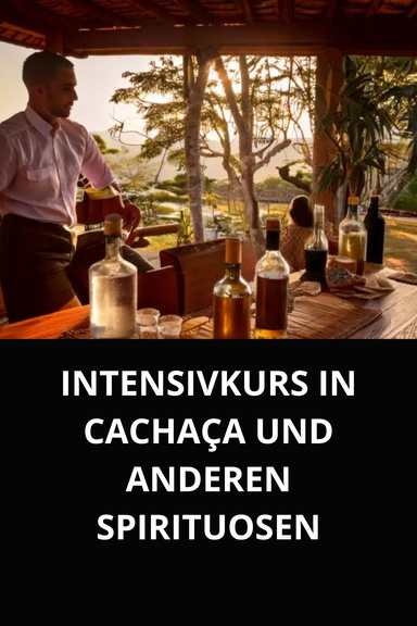 INTENSIVKURS IN CACHAÇA UND ANDEREN SPIRITUOSEN