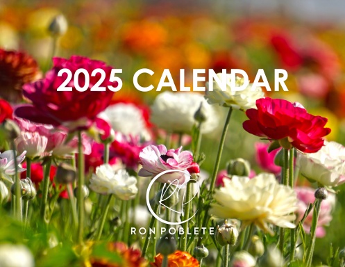 2025 Botanical Calendar