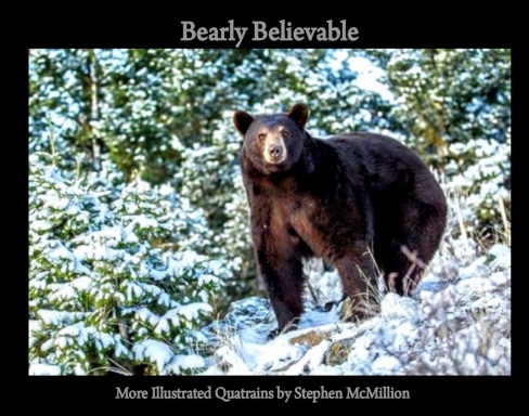 Bearly Believable