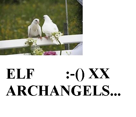 Elf Archangel Messiahs Collection