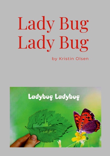 Lady Bug Lady Bug