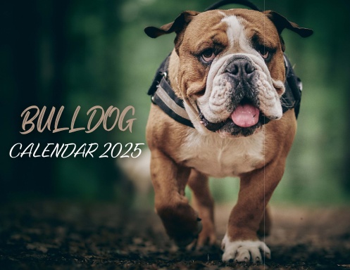 Bulldog Calendar 2025