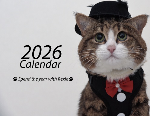 REXIECAT 2026 CALENDAR