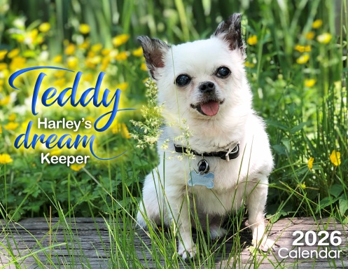 Teddy, Harley's Dream Keeper 2026 Calendar