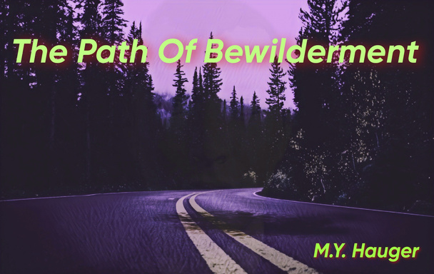 The Path Of Bewilderment