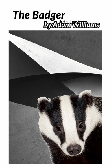 The Badger