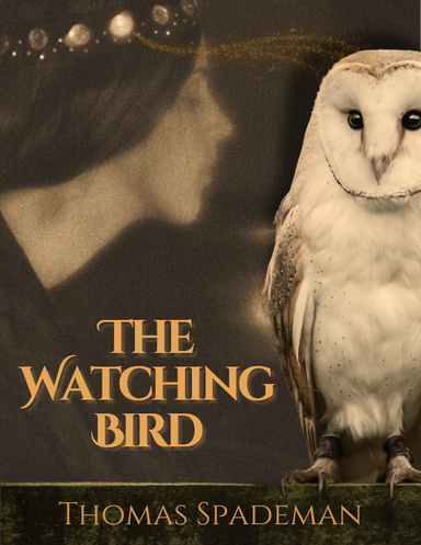 The Watching Bird