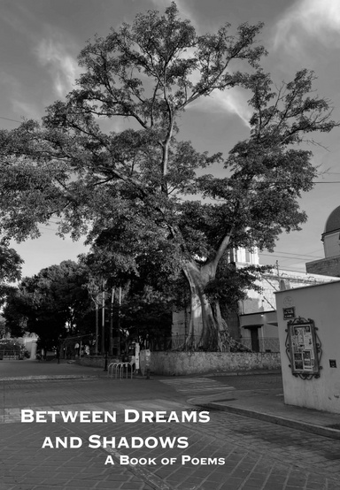 Between Dreams and Shadows