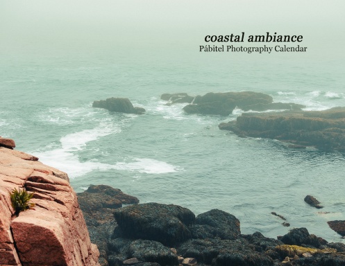 coastal ambiance 2027