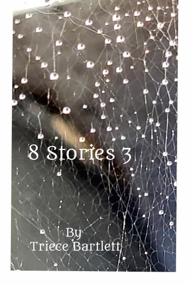8 Stories 3