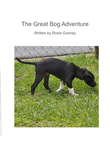 The Great Bog Adventure
